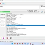 Raja Beta 2